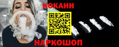 стаф Дубна
