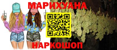 стаф Дубна