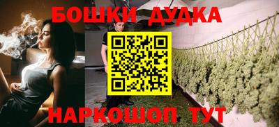 стаф Дубна