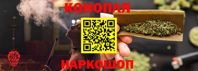 стаф Дубна