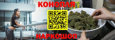 стаф Дубна