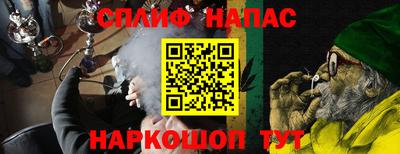 стаф Дубна